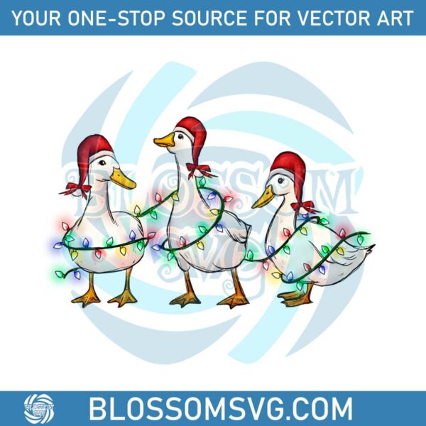 funny-animals-christmas-ducks-santa-hat-png-download