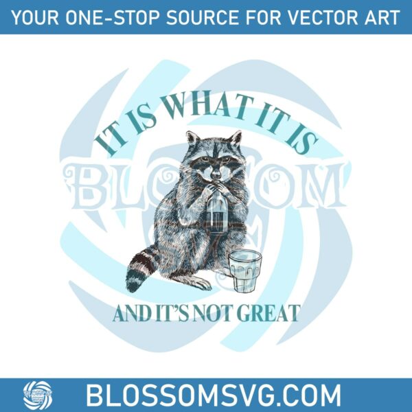 raccoon-it-is-what-it-is-and-it-is-not-great-png