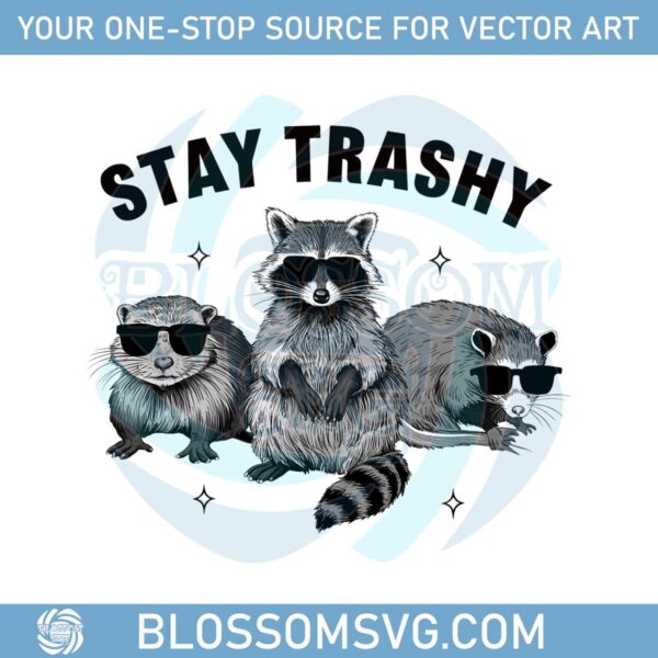 funny-meme-raccoon-stay-trashy-png