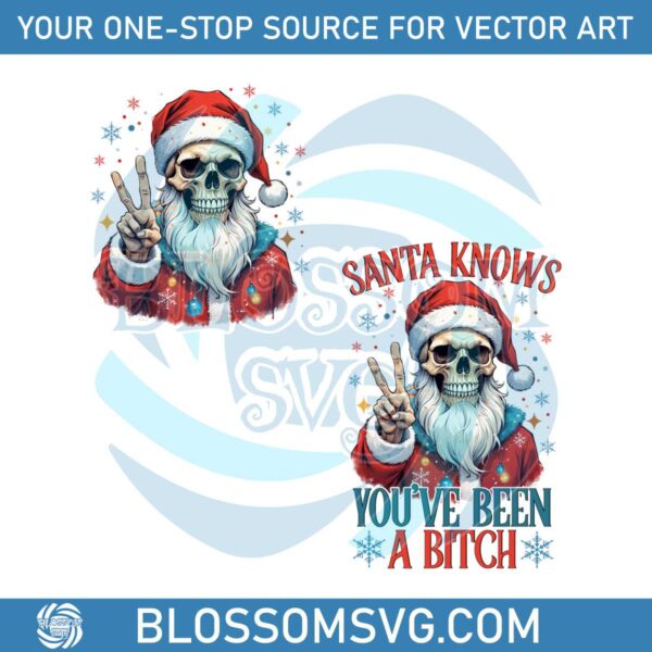 santa-knows-you-have-been-a-bitch-santa-claus-png