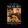 in-loving-memory-liam-payne-1993-2024-png